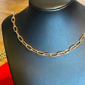 NWT Rose Gold Large Paperclip Chain, 22”